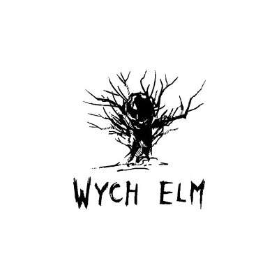 Wych Elm